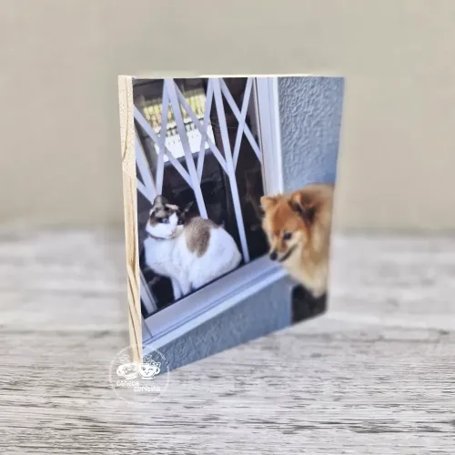 Quadro Mesa Polaroid 10x12 cm com Foto